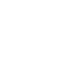 The Limousine Service